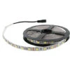 Striscia Led Professionale 5 Metri SMD 5050 IP20 72W 24V Bianco Freddo 6000K
