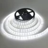 Striscia Led Luce Fredda Smd 5050 Con Alimentatore 5M Metri 300 Led Bianca -Negozio Di Illuminazione Per La Casa Alla Moda 20649790 1