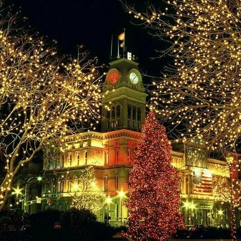 100M 600 LED Fata Luci Per Esterni Carnevale Matrimonio Illuminazione Per Interni Da Giardino DE 5 100M 600 LED Fata Luci Per Esterni Carnevale Matrimonio Illuminazione Per Interni Da Giardino DE - immagine 3